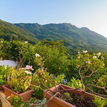 Bed & Breakfast Parco Osiride Casamicciola Terme