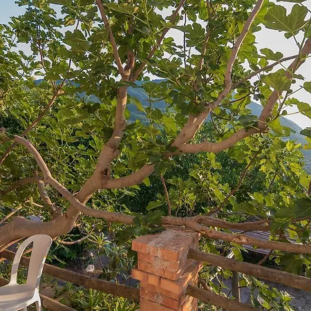 Bed & Breakfast Parco Osiride