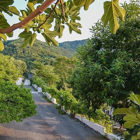 Parco Osiride كازاميتْشيولا تيرمي